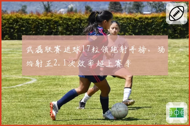 武磊联赛进球17粒领跑射手榜,场均射正2.1次效率超上赛季
