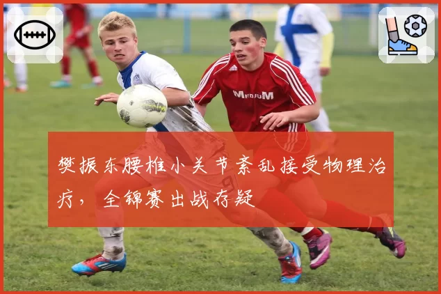 樊振东腰椎小关节紊乱接受物理治疗，全锦赛出战存疑