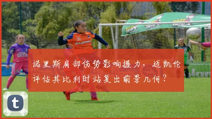 诺里斯肩部伤势影响握力，迈凯伦评估其比利时站复出前景几何？
