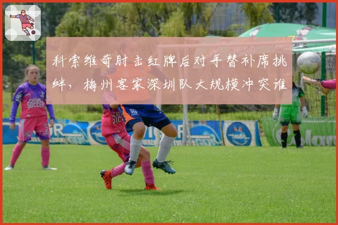 科索维奇肘击红牌后对手替补席挑衅，梅州客家深圳队大规模冲突谁来担责？