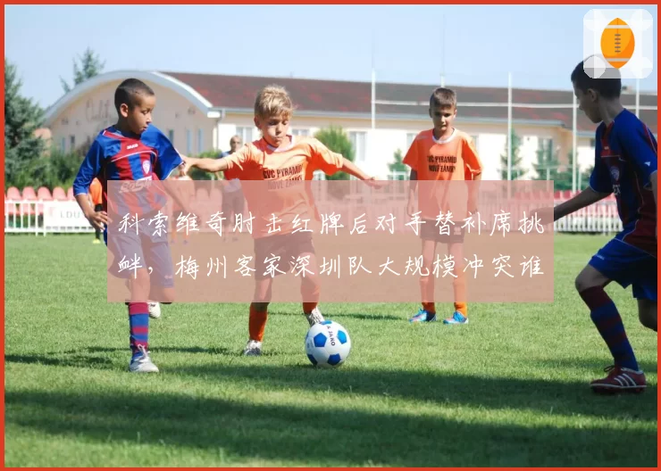 科索维奇肘击红牌后对手替补席挑衅，梅州客家深圳队大规模冲突谁来担责？
