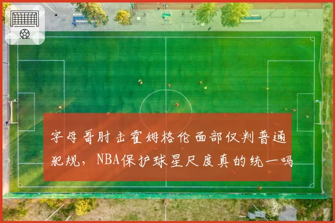 字母哥肘击霍姆格伦面部仅判普通犯规,NBA保护球星尺度真的统一吗?